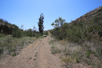 Enlarge photo 39