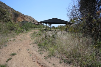 Enlarge photo 41