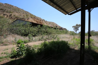 Enlarge photo 45