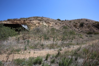 Enlarge photo 50