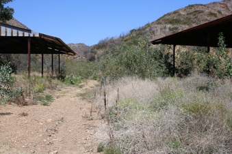 Enlarge photo 51