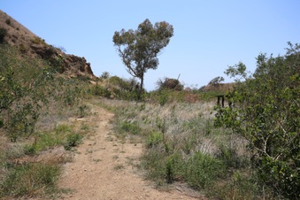 Enlarge photo 52