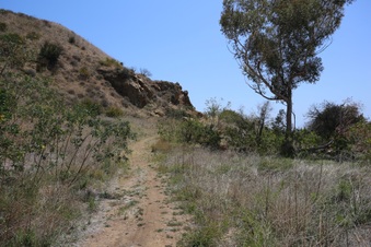 Enlarge photo 54