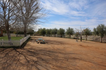 Enlarge photo 16