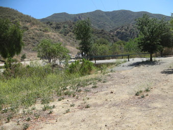 Enlarge photo 17