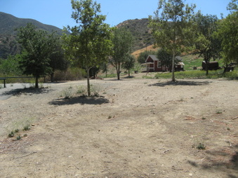 Enlarge photo 18