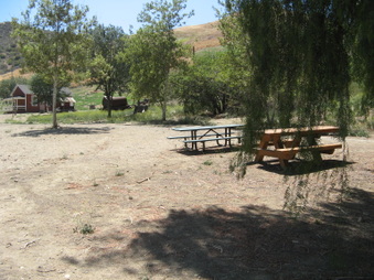 Enlarge photo 19