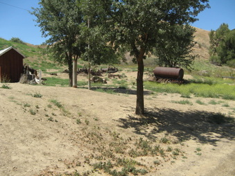 Enlarge photo 22
