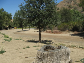 Enlarge photo 23