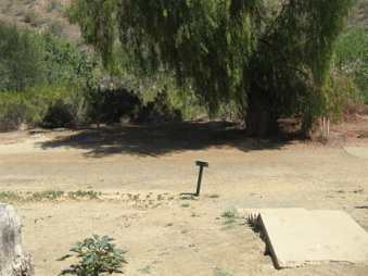 Enlarge photo 24