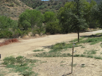 Enlarge photo 25