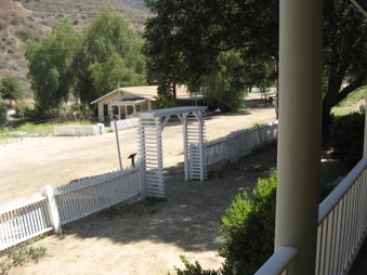 Enlarge photo 35