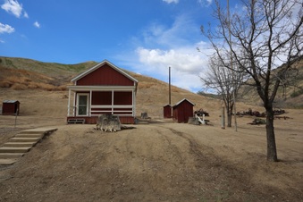 Enlarge photo 4