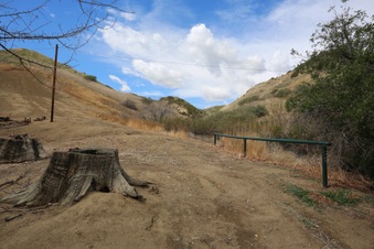 Enlarge photo 12