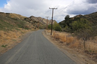 Enlarge photo 50