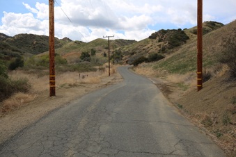 Enlarge photo 51
