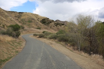 Enlarge photo 52