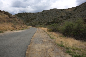 Enlarge photo 53