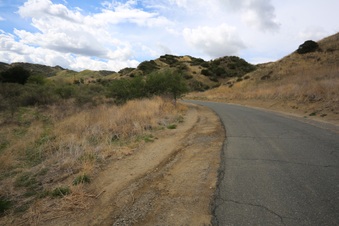 Enlarge photo 54