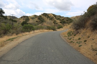 Enlarge photo 55