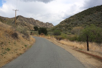 Enlarge photo 56