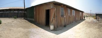 Enlarge photo 40