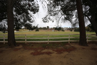 Enlarge photo 25
