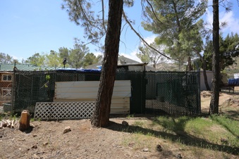 Enlarge photo 20