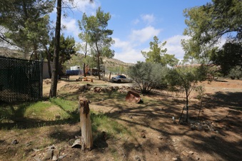 Enlarge photo 22
