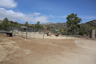 Enlarge photo 35