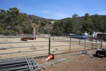 Enlarge photo 36