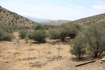 Enlarge photo 42