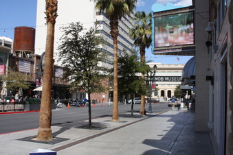 Enlarge photo 82