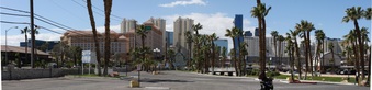 Las Vegas Backing Photos