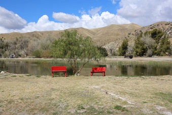Enlarge photo 7
