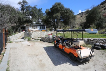 Enlarge photo 33