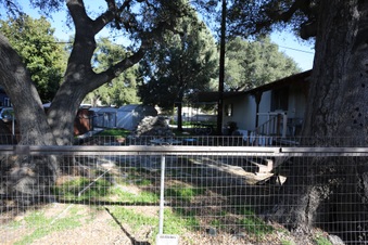 Enlarge photo 31