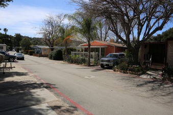 Enlarge photo 30
