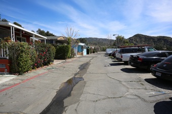 Enlarge photo 35