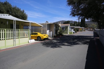 Enlarge photo 50