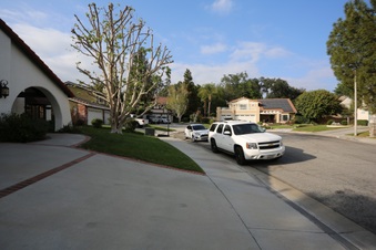Enlarge photo 10