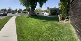 Enlarge photo 5