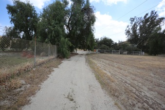 Enlarge photo 52