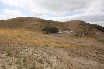 Enlarge photo 62