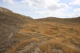 Enlarge photo 63