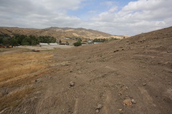 Enlarge photo 65