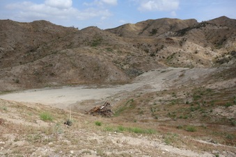 Enlarge photo 67