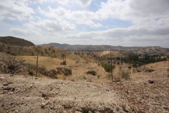 Enlarge photo 71