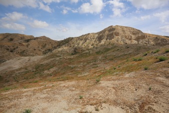 Enlarge photo 72