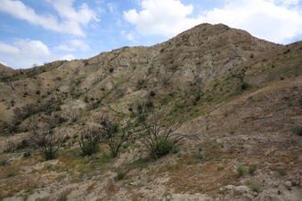 Enlarge photo 75